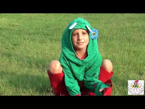 Cover L’Inno del girino