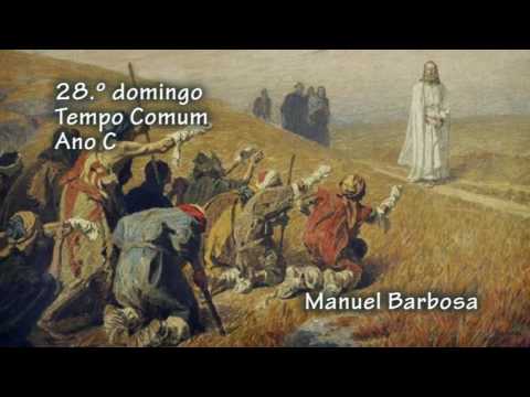 28º domingo do Tempo Comum - Ano C
