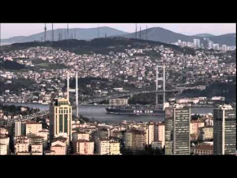 $20 bln sent to Istanbul and Dubai to control exchange rate: Iranian vice president