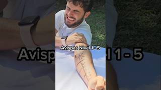 Avispa Nivel 1 - 5 !