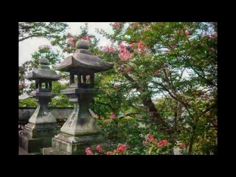 Храм чистой воды Киёмидзу-дэра. Япония.