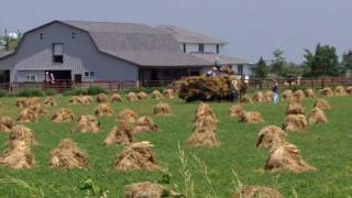 preview picture of video 'Loading Oat Bundles in Arthur Illinois'