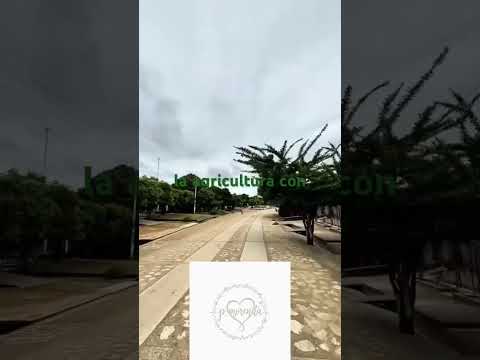 Hato nuevo sucre corregimiento de Corozal sucre Colombia