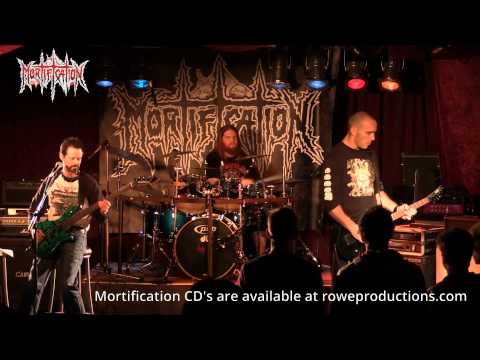 Thumbnail for Realm of the Skelataur video