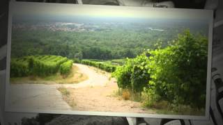 preview picture of video 'tour a.s.a. fra i vigneti del  gattinara e del ghemme ...  -  2012'