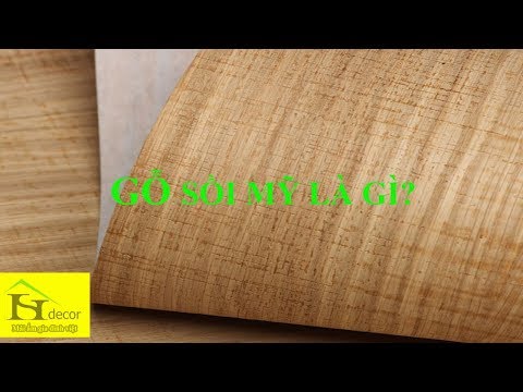 gỗ sồi mỹ là gì?
