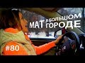 Мат в большом городе // Всё как у зверей #80 Мат в большом городе // Всё как у зверей #80