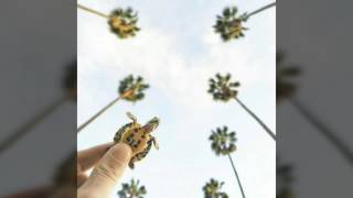 Download lagu Cinta sejati versi arab mp3