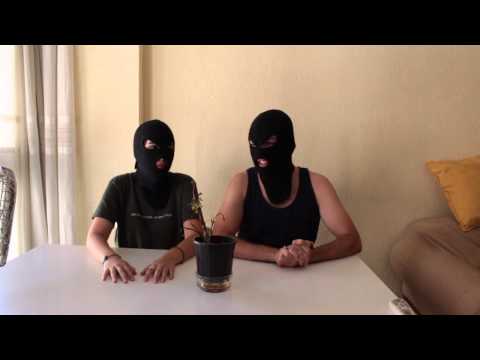 ¿Existen mujeres terroristas?