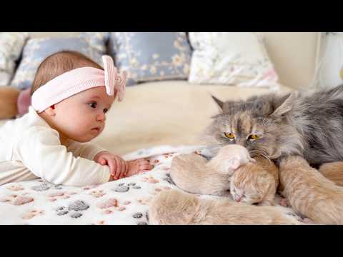 YouTube 썸네일