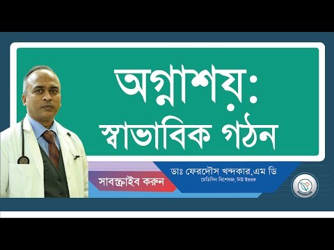 অগ্নাশয়:: স্বাভাবিক গঠন।
