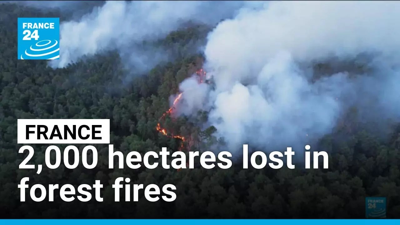 France battles worst wildfires since WWII as 2,000 hectares burn in Fontainebleau forest