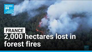 France battles worst wildfires since WWII as 2,000 hectares burn in Fontainebleau forest