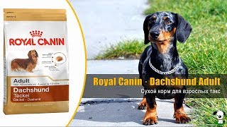 Royal Canin Dachshund Adult 1,5 кг (3059015) - відео 1