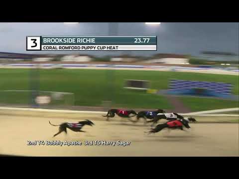 2021 ROMFORD PUPPY CUP - HEAT 2 - T3 BROOKSIDE RICHIE