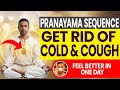 Top 4 Breathing Exercises to Reduce Cough and Cold in One Day | Pranayama Sequence