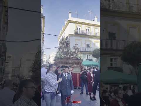 San José en la Plaza del Rey a los sones de Lágrimas de Dolores | 2026