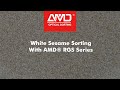 AMD RGS Sesame Color Sorting