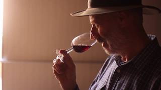 Duncan Harris - Entwined in the Valley 2017