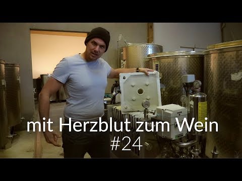 mit Herzblut zum Wein Vlog #24 | Der grosse Weinkeller Rundgang