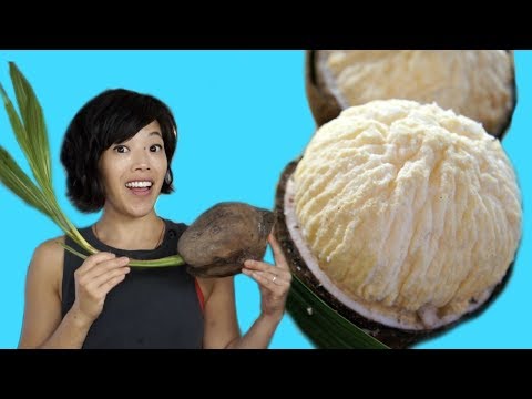 download lagu mp3 mp4 Coconut Pulp Ball, download lagu Coconut Pulp Ball gratis, unduh video klip Coconut Pulp Ball