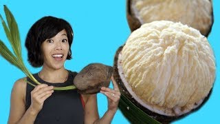 How to Open a SPROUTED COCONUT & Taste Test – coconut filled with edible foam | Fruity Fruits