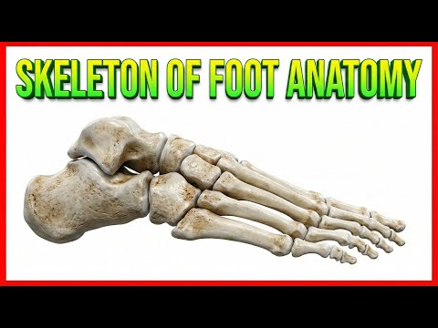 Skeleton of foot Anatomy (Animation): USMLE STEP 1: Dr G Bhanu Prakash