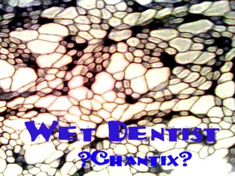 Wet Dentist - 