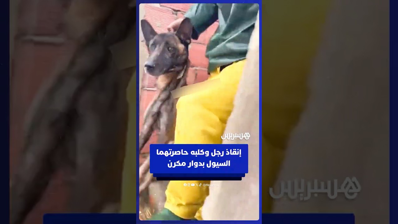 متطوعون يتمكنون من إنقاذ رجل وكلبه حاصرتهما السيول بدوار مكرن thumbnail