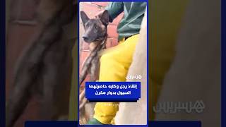 متطوعون يتمكنون من إنقاذ رجل وكلبه حاصرتهما السيول بدوار مكرن thumbnail