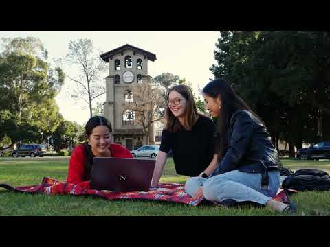 Northeastern University Oakland