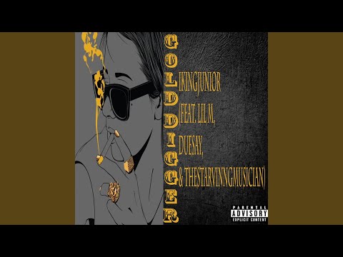 Gold Digger (feat. TheStarvinngMusician, Lil M & Duesay)