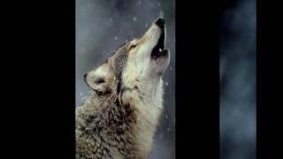 OLIVER SHANTI - White Mother Of The Universe