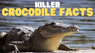 Killer Crocodile Facts | Learn about these ancient reptiles