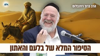 מדרשים ואגדות על הסיפור המדהים של בלעם והאתון - הרב רוזנבלום (תשפ"ג) (הרב ברוך רוזנבלום) - התמונה מוצגת ישירות מתוך אתר האינטרנט יוטיוב. זכויות היוצרים בתמונה שייכות ליוצרה. קישור קרדיט למקור התוכן נמצא בתוך דף הסרטון