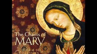 Gregorian Chant - Salve Regina (Solemn tone) from "The Chants of Mary"