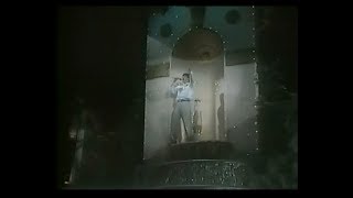 Chayanne, Fiesta en América - Festival Internacional de la canción de Viña del Mar 1988