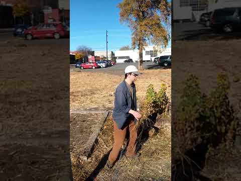 CWDR community garden clean up!