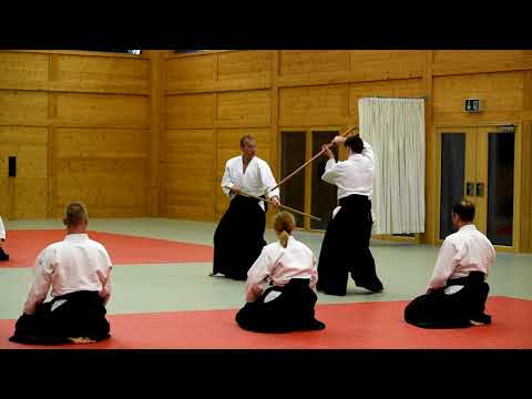 Aikido Budokan Wels - Aikidovorführung (Embu) bei Family & Friends 2019