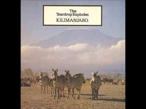 The Teardrop Explodes - Kilimanjaro [Full Album]