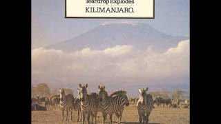 The Teardrop Explodes - Kilimanjaro [Full Album]