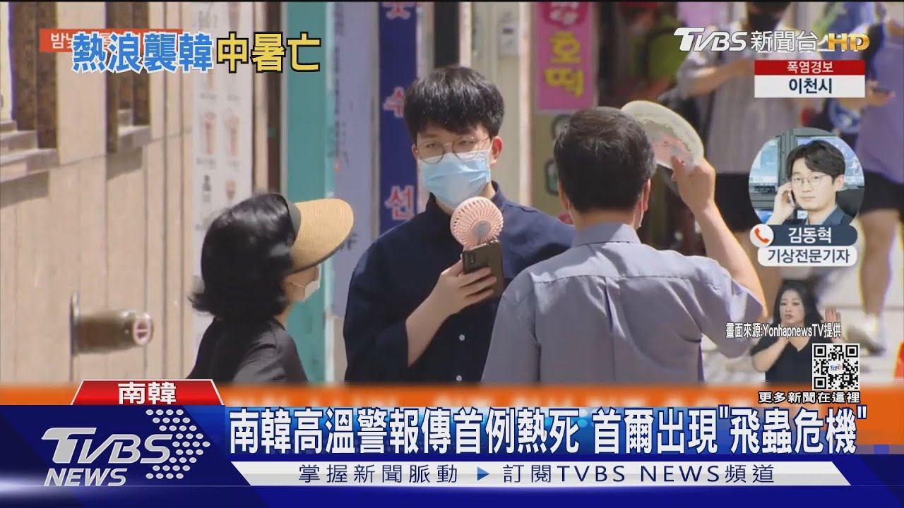 南韓高溫警報傳首例熱死 首爾出現「飛蟲危機」