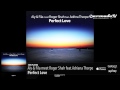Aly Fila Meet Roger Shah Feat Adriana Thorpe Perfect Love Original Mix