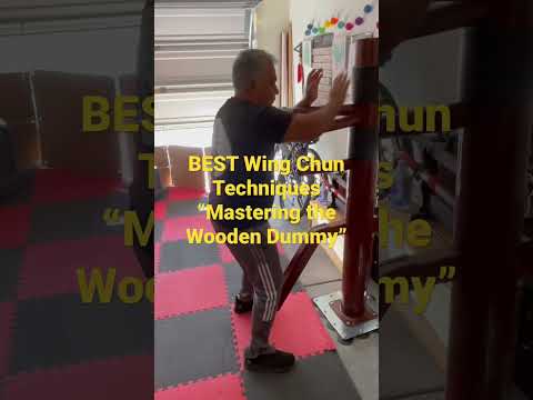 BEST Wing Chun Techniques “Mastering the Wooden Dummy” #shorts #wingchun