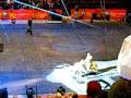 Circus 2010 019 Avi