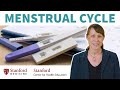 Menstrual Cycle & Pregnancy Myths Busted by an Ob/Gyn | Stanford