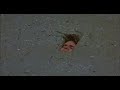 Cement Quicksand Rising Sun 1993