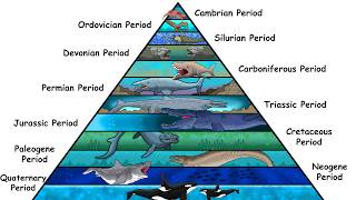 The Deadliest Sea Animal From Every Single Period