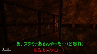 【実況】緋弾の礼＆即効乃カカシ シャドーコリドーホラー実況 Part3
