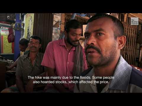 Collateral: In the Shadow of the Storm